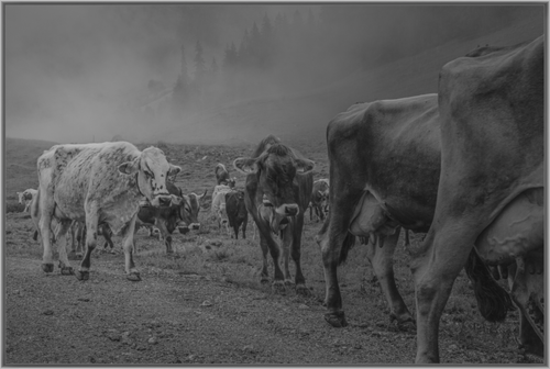 Main image Im Nebel der Berge